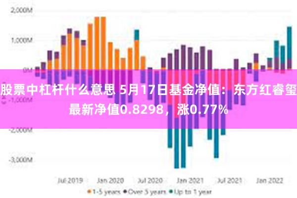 股票中杠杆什么意思 5月17日基金净值：东方红睿玺最新净值0.8298，涨0.77%