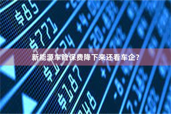 新能源车险保费降下来还看车企？