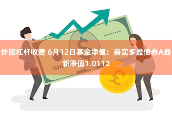 炒股杠杆收费 6月12日基金净值：嘉实多盈债券A最新净值1.0112