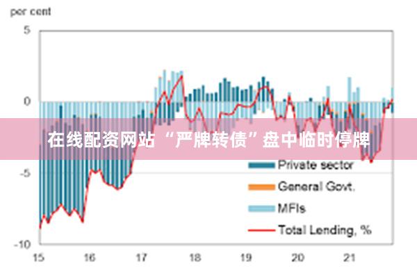 在线配资网站 “严牌转债”盘中临时停牌