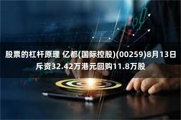 股票的杠杆原理 亿都(国际控股)(00259)8月13日斥资32.42万港元回购11.8万股