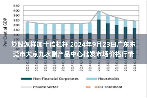 炒股怎样加十倍杠杆 2024年9月23日广东东莞市大京九农副产品中心批发市场价格行情