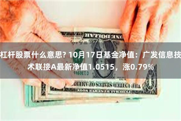 杠杆股票什么意思? 10月17日基金净值：广发信息技术联接A最新净值1.0515，涨0.79%