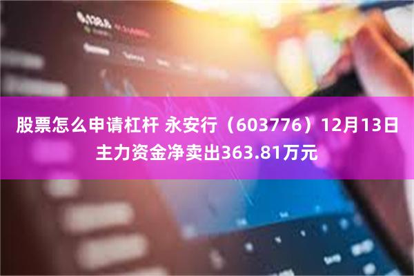 股票怎么申请杠杆 永安行（603776）12月13日主力资金净卖出363.81万元