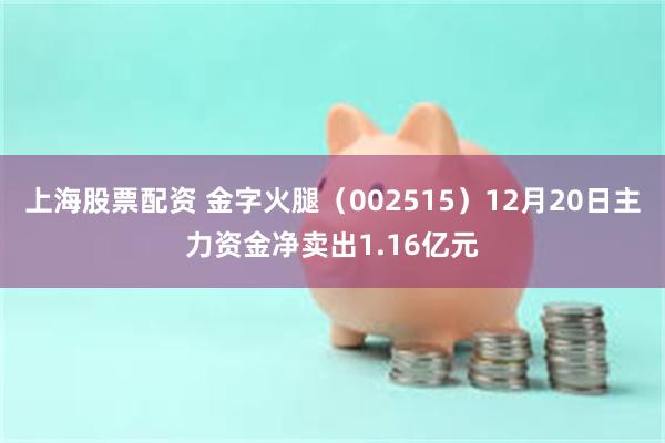 上海股票配资 金字火腿（002515）12月20日主力资金净卖出1.16亿元