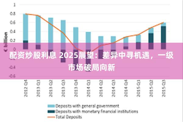 配资炒股利息 2025展望：差异中寻机遇，一级市场破局向新