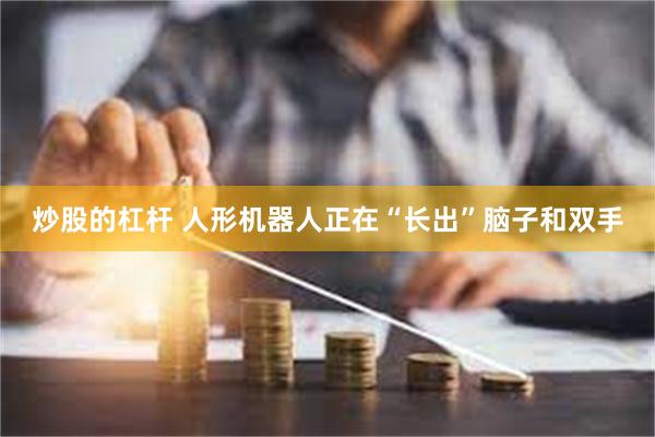 炒股的杠杆 人形机器人正在“长出”脑子和双手