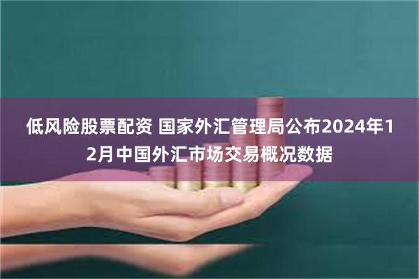 低风险股票配资 国家外汇管理局公布2024年12月中国外汇市场交易概况数据