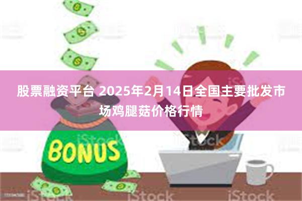 股票融资平台 2025年2月14日全国主要批发市场鸡腿菇价格行情