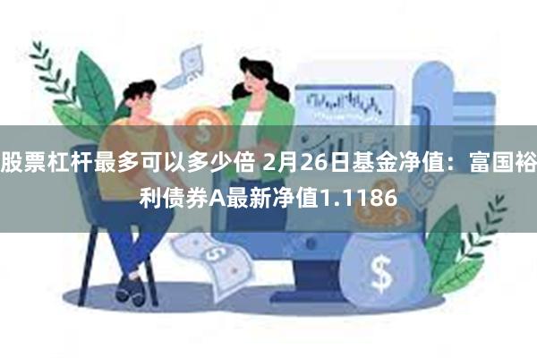 股票杠杆最多可以多少倍 2月26日基金净值：富国裕利债券A最新净值1.1186